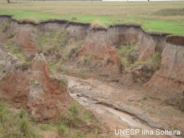 Vo&ccedil;oroca na microbacia em alfuente do C&oacute;rrego do Coqueiro em 09 de novembro de 2007